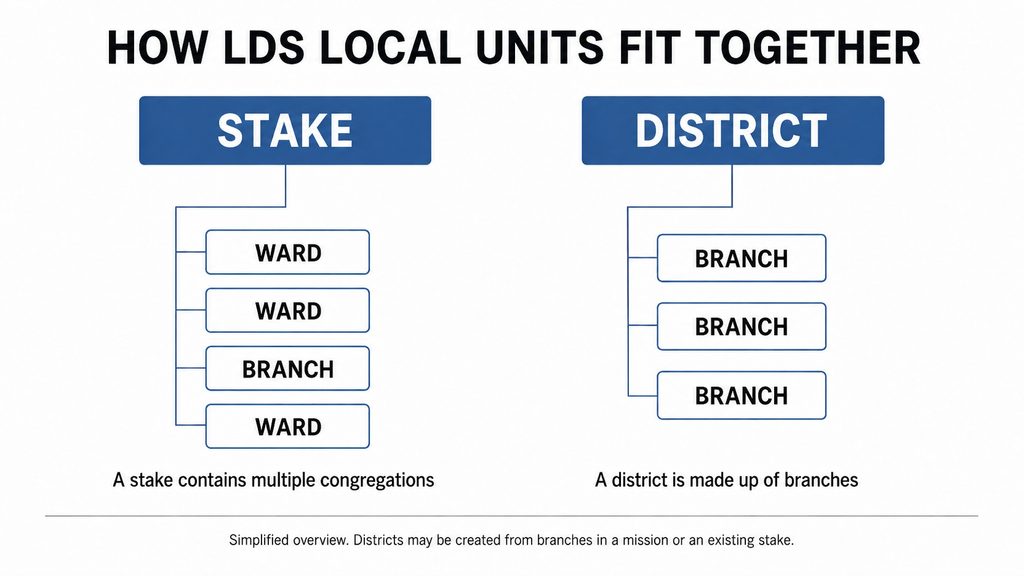 Diagram showing how LDS wards, branches, stakes and districts fit together